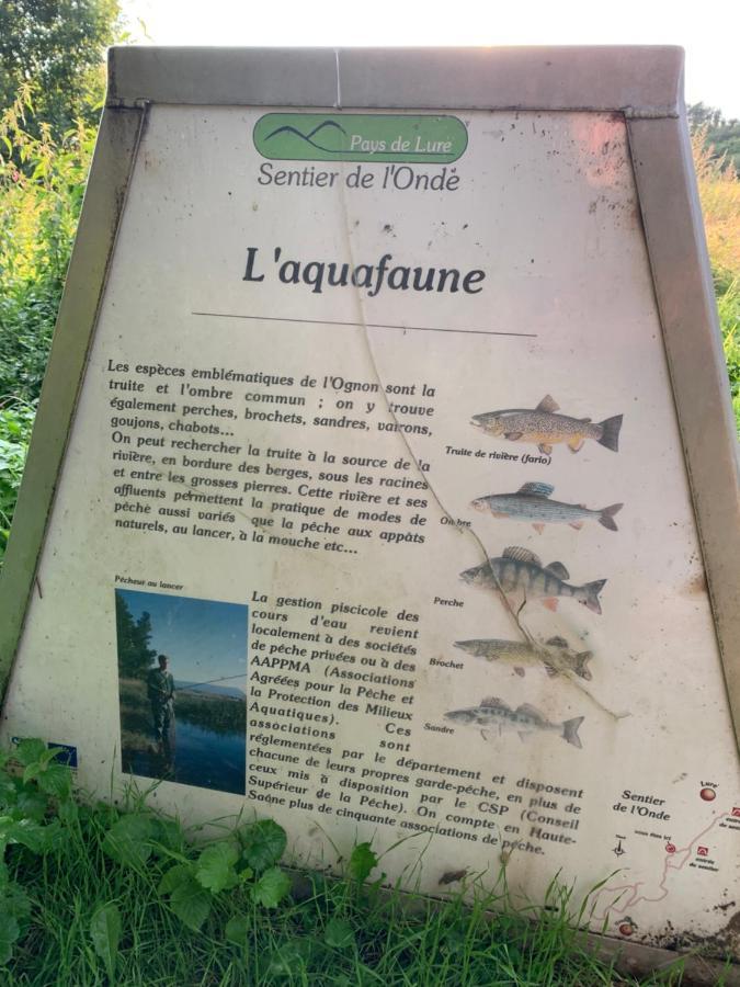 Les Jardins D'Elise, Calme Et Verdure A Lure Lure  Buitenkant foto