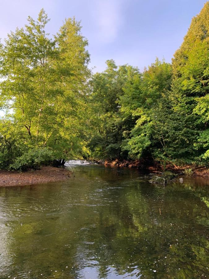 Les Jardins D'Elise, Calme Et Verdure A Lure Lure  Buitenkant foto